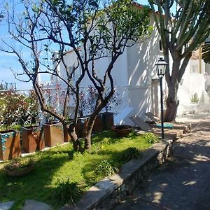 Casa Gaia